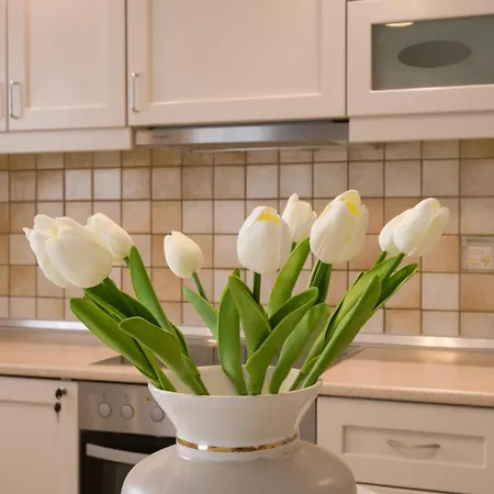 شقة White Elegant *