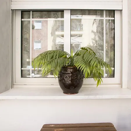 White Elegant * テッサロニキ