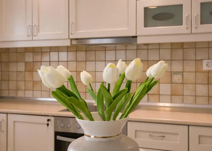 Daire White Elegant *