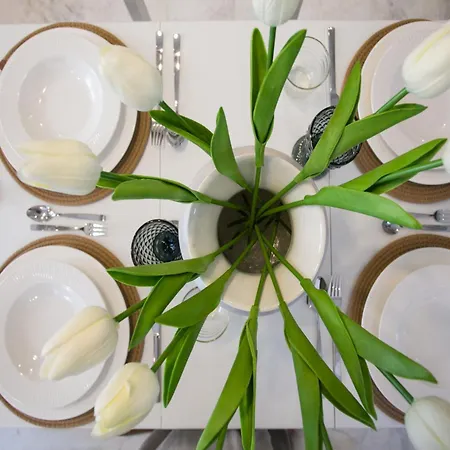 White Elegant Apartament